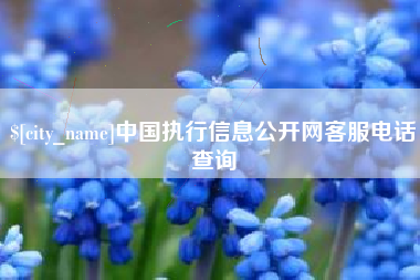 永州中国执行信息公开网客服电话查询