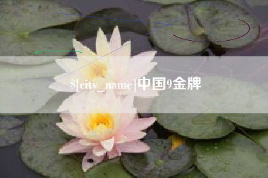 永州中国9金牌