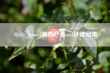 永州消防产品cccf认证目录
