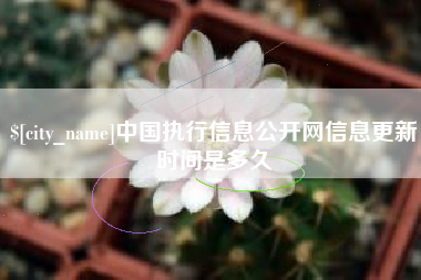 永州中国执行信息公开网信息更新时间是多久