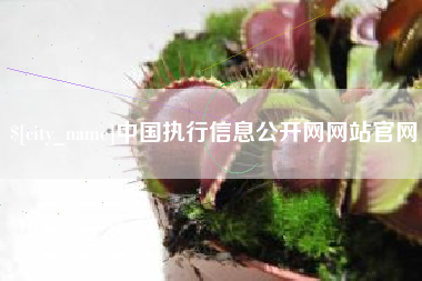 永州中国执行信息公开网网站官网