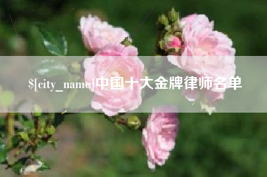 永州中国十大金牌律师名单