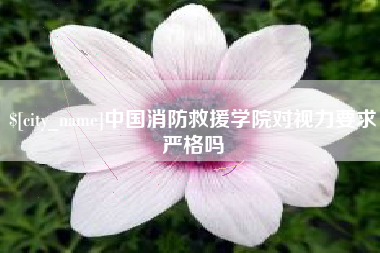 永州中国消防救援学院对视力要求严格吗