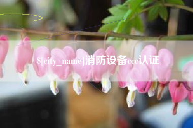 永州消防设备ccc认证