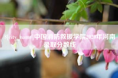 永州中国消防救援学院2020年河南录取分数线