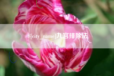 永州九宫排除法