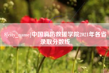 永州中国消防救援学院2021年各省录取分数线