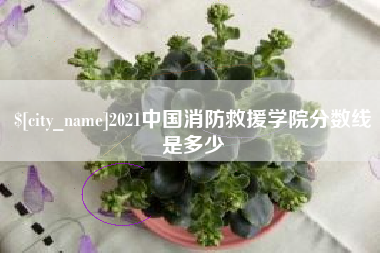 永州2021中国消防救援学院分数线是多少