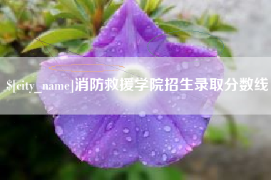 永州消防救援学院招生录取分数线