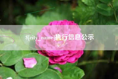 永州执行信息公示