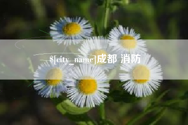 永州成都 消防
