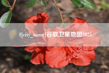 永州谷歌卫星地图2025
