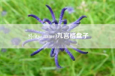 永州九宫格盘子