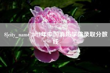 永州2021年中国消防学院录取分数线