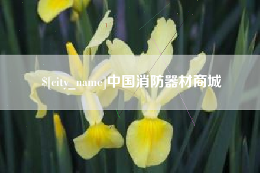 永州中国消防器材商城