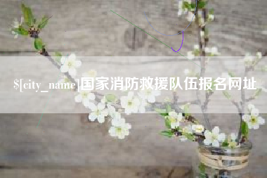 永州国家消防救援队伍报名网址
