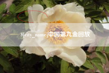 永州中国第九金回放