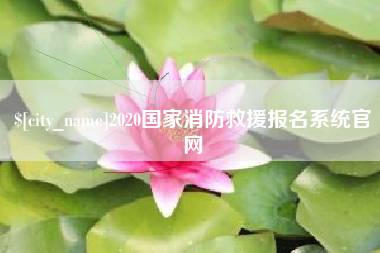 永州2020国家消防救援报名系统官网