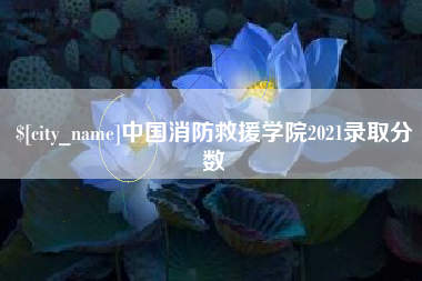 永州中国消防救援学院2021录取分数