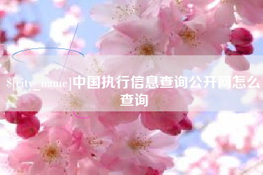 永州中国执行信息查询公开网怎么查询