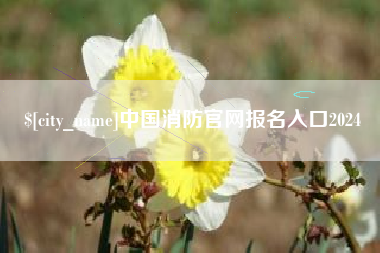 永州中国消防官网报名入口2024