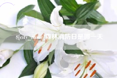 永州森林消防日是哪一天