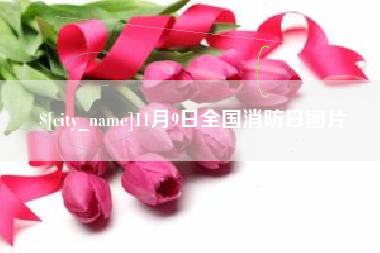 永州11月9日全国消防日图片