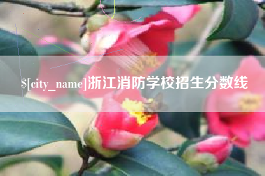 永州浙江消防学校招生分数线