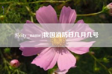 永州我国消防日几月几号
