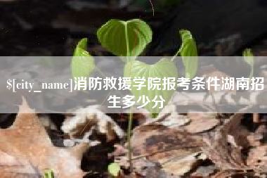 永州消防救援学院报考条件湖南招生多少分