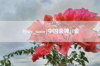永州中国金牌18金