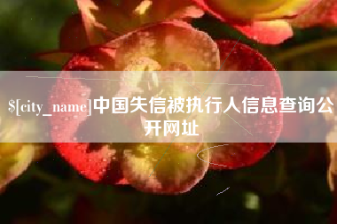 永州中国失信被执行人信息查询公开网址