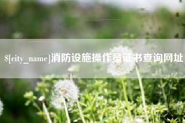 永州消防设施操作员证书查询网址