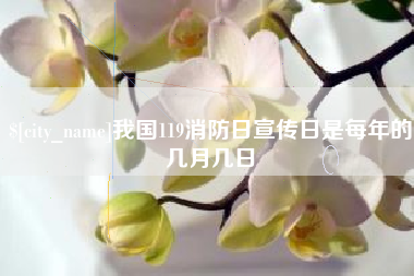 永州我国119消防日宣传日是每年的几月几日