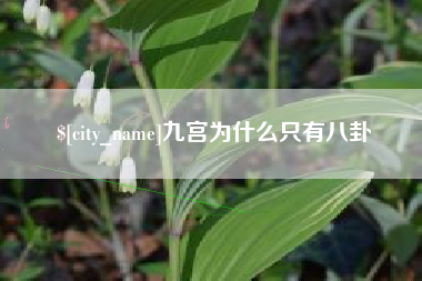 永州九宫为什么只有八卦