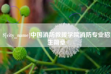 永州中国消防救援学院消防专业招生简章