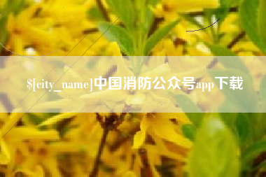 永州中国消防公众号app下载