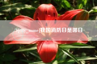 永州我国消防日是哪日