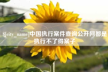 永州中国执行案件查询公开网都是执行不了得案子
