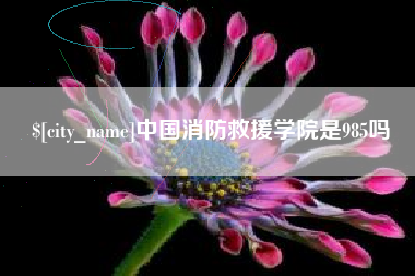 永州中国消防救援学院是985吗