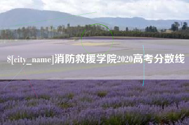 永州消防救援学院2020高考分数线