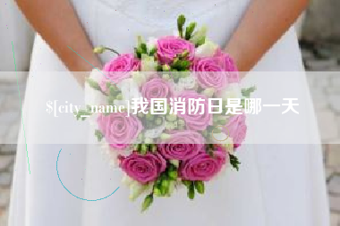 永州我国消防日是哪一天