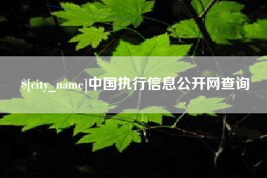 永州中国执行信息公开网查询