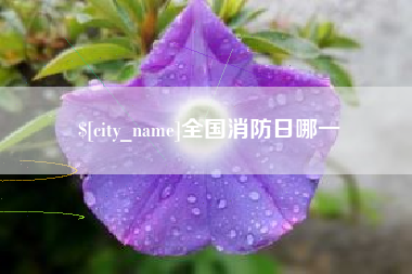 永州全国消防日哪一
