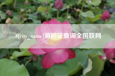 永州消防证查询全国联网
