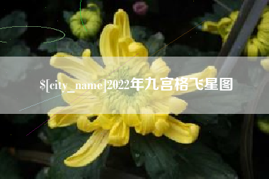 永州2022年九宫格飞星图