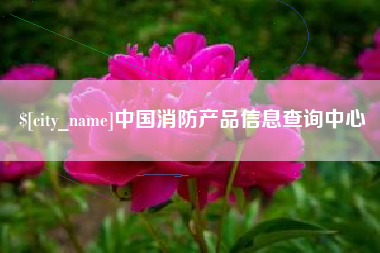 永州中国消防产品信息查询中心