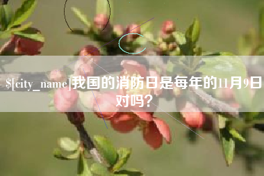 永州我国的消防日是每年的11月9日对吗？