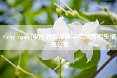 永州中国消防救援学院湖南招生情况公布