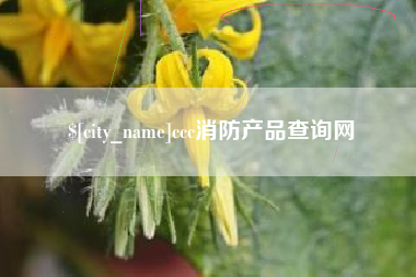 永州ccc消防产品查询网